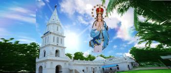 ஆரோக்கிய அன்னை திருத்தலம், வடுகர்பேட்டை